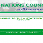 How to Check for ecz e-statement of Results 2020 Download