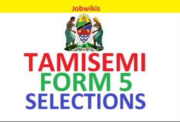 majina ya selection form five 2021/22, www.tamisemi.go.tz form five selection,majina ya wanafunzi na shule walizopangiwa kidato cha tano 2022 zanzibar