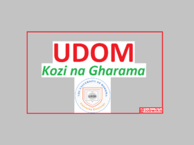 Udom Certificate Courses and Fees 2022/2023 Pdf