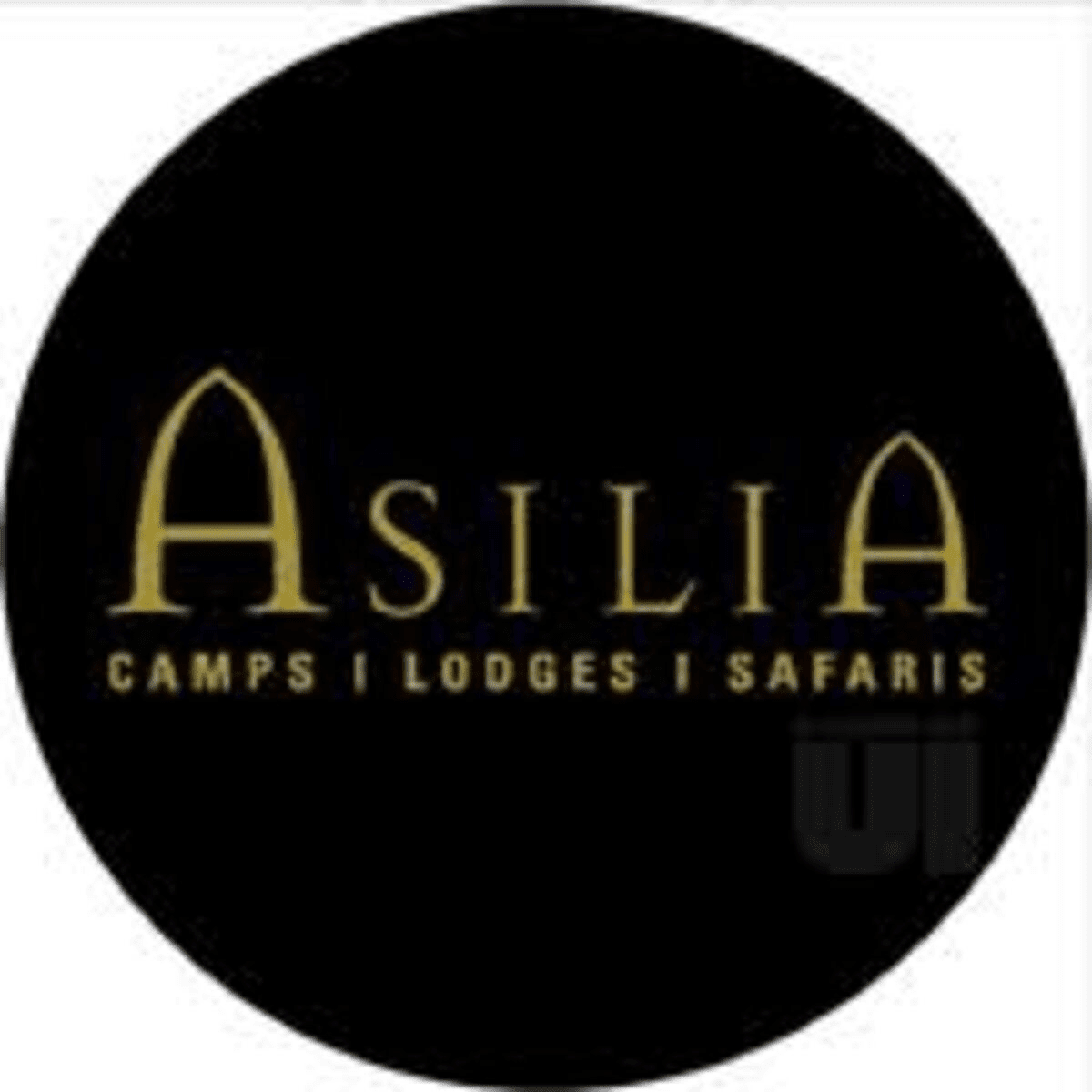 Latest Jobs at Asilia Lodges and Camps 2021