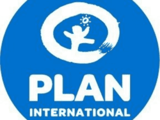 plan international vacancies 2022, plan international tanzania jobs 2022, jobs at plan international, plan international jobs portal, plan international volunteer
