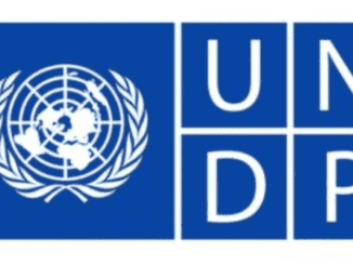 Monitoring and Evaluation Analyst at UNDP Tanzania 2021