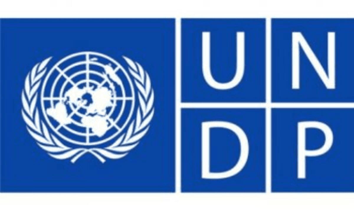 Monitoring and Evaluation Analyst at UNDP Tanzania 2021
