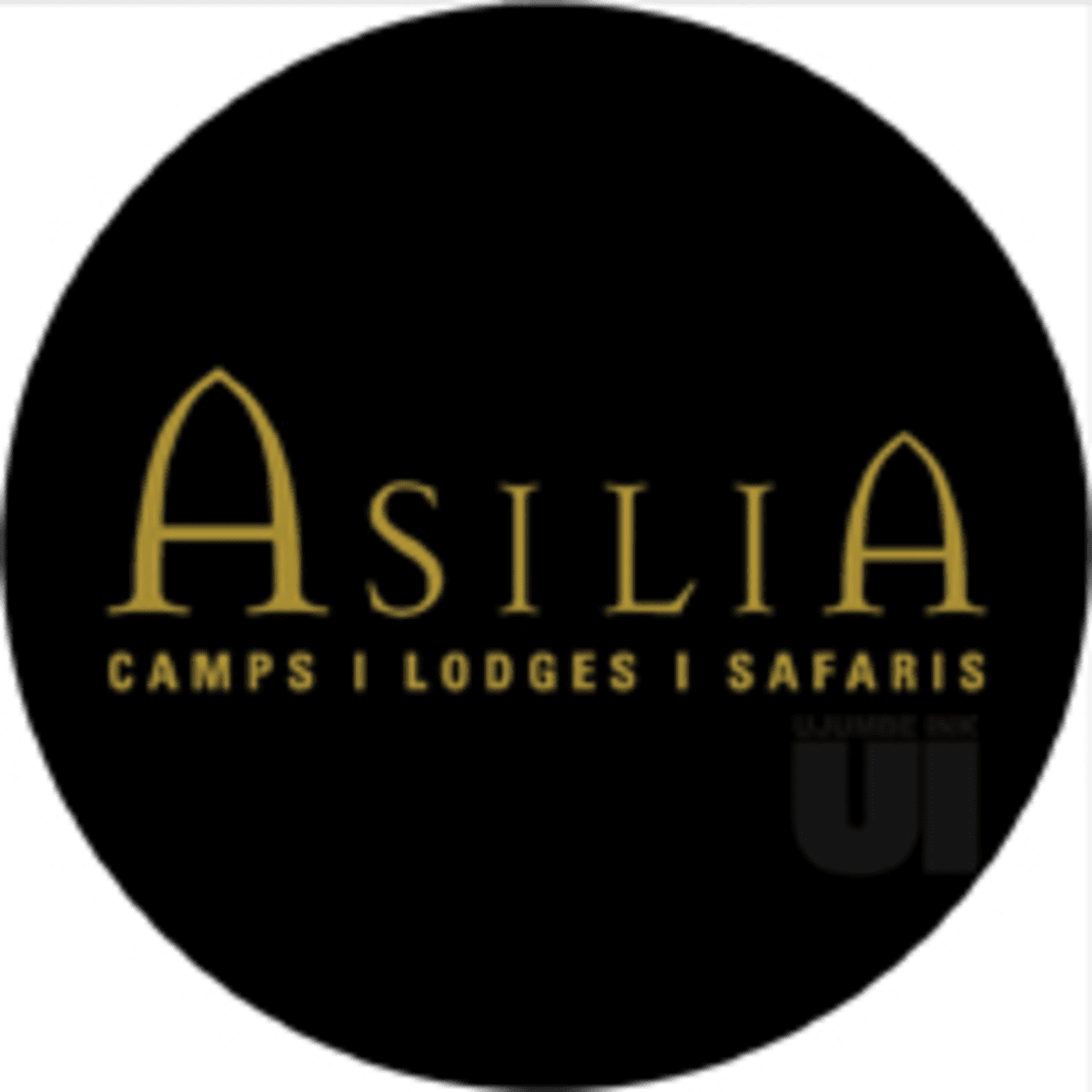 Job Opportunities at Asilia Lodges and Camps Ltd Tanzania 2022, Nafasi za kazi Asilia lodges and Camps LTD, Asilia Lodges And Camps Jobs in Tanzania 2022, asilia jobs, tourism job vacancies 2022, arusha mailing jobs 2022
