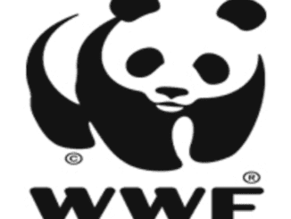 New Job Vacancy at WWF 2022 (Driver), Ngo driver jobs in tanzania, Nafasi za kazi WWF Tanzania 2022, WWF Tanzania jobs 2022