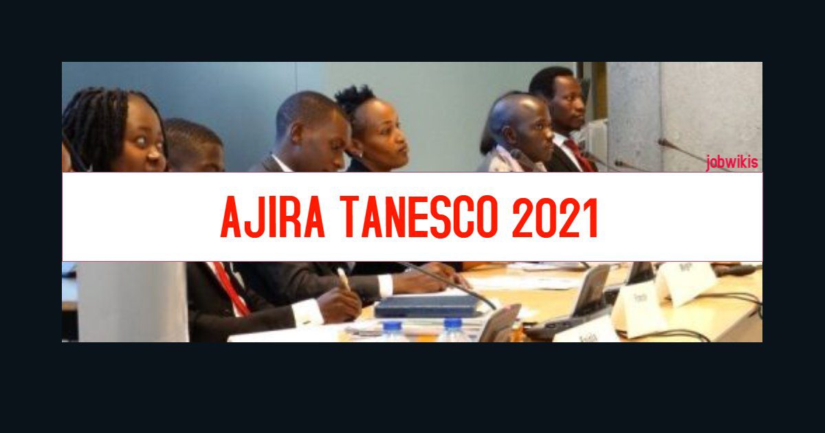 AJIRA TANESCO 2021, Nafasi za kazi TANESCO Dodoma, Nafasi za Kazi Halmashauri ya Dodoma 2021, nafasi za kazi 2021 dodoma, Jobs in Dodoma 2021, ajira mpya dodoma 2021