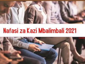 Nafasi za Kazi Mbalimbali 2021, nafasi za kazi Mashirika Binafsi 2021, nafasi za kazi madukani 2021, Best Jobs in Tanzania