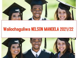 Nelson Mandela African Institute of Science and Technology (NMAIST) selected applicants 2021/22, Majina ya waliochaguliwa Nelson Mandela African Institute of Science and Technology (NMAIST) 2021/22, NMAIST login