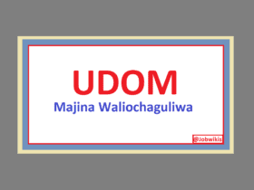 udom second selection pdf 2022/23 Full list, UDOM Second Selection 2022/2023 Academic Year, udom selected applicants 202223, udom selected applicants 202223 pdf, udom online application 20222023, udom login, https application udom ac tz, udom announcement, udom second selection pdf, udom second selection 2022, udom selection second round, udsm second round application, university of dar es salaam second selection