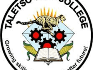 Student Email at the Taletso TVET College, taletso.edu.za Student Email, taletso tvet college student portal, taletso tvet college online application 2022, taletso tvet college vacancies, taletso tvet college application form 2022 pdf