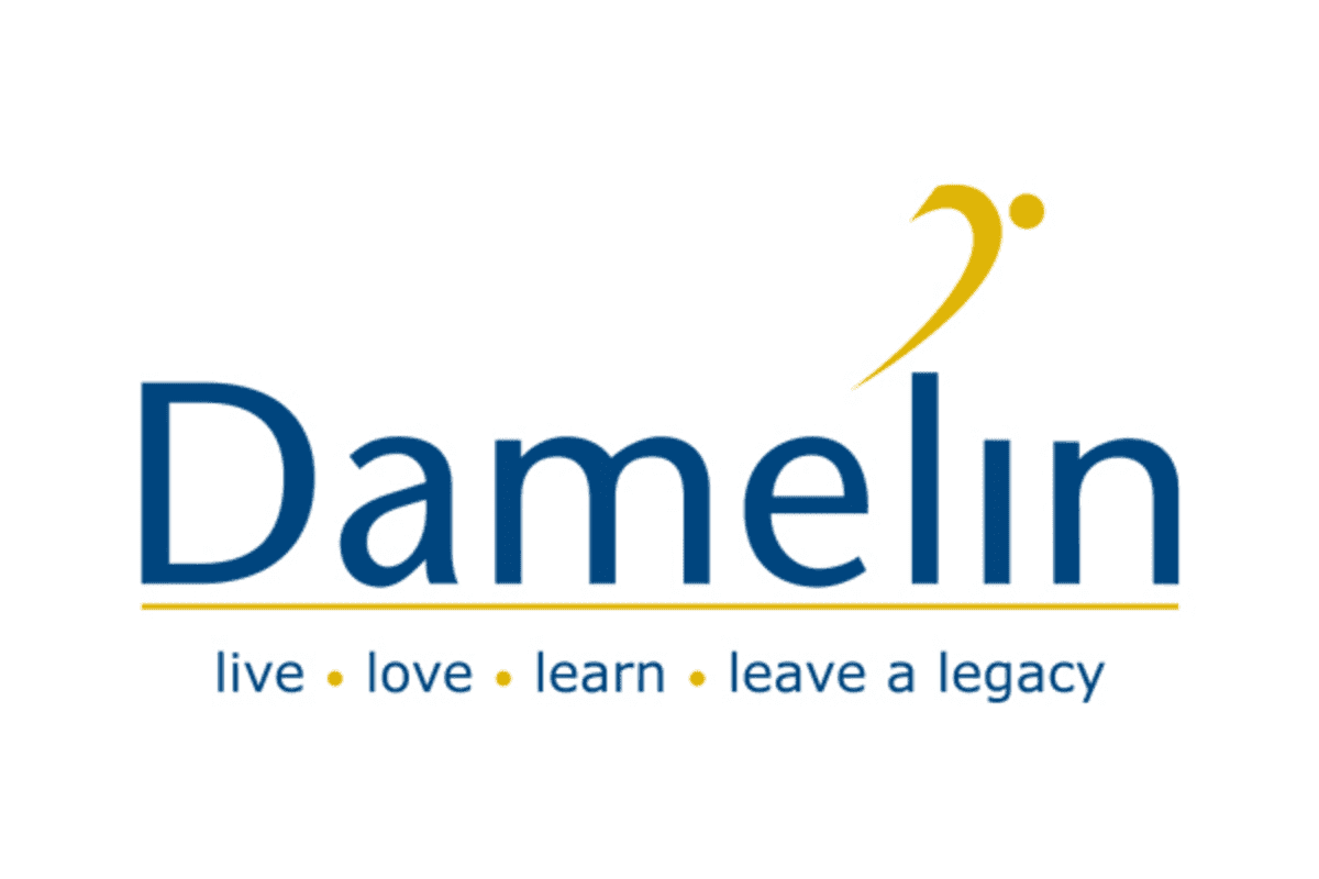 Damelin Online Application 2023, www damelin co za Application, Application for Admission, How To Apply for Damelin, damelin diploma courses and fees