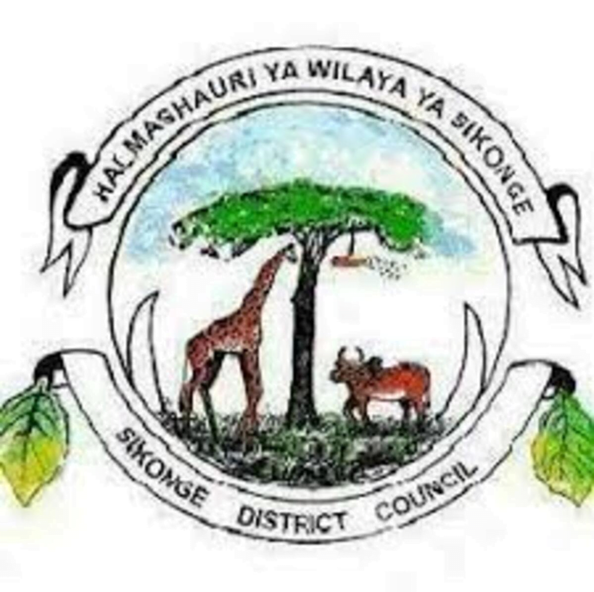 Job Opportunities at Sikonge District Council 2021, Sikonge District Council Jobs 2021, Nafasi za kazi HALMASHAURI Wilaya ya Sikonge 2021, Sikonge District Council Vacancies