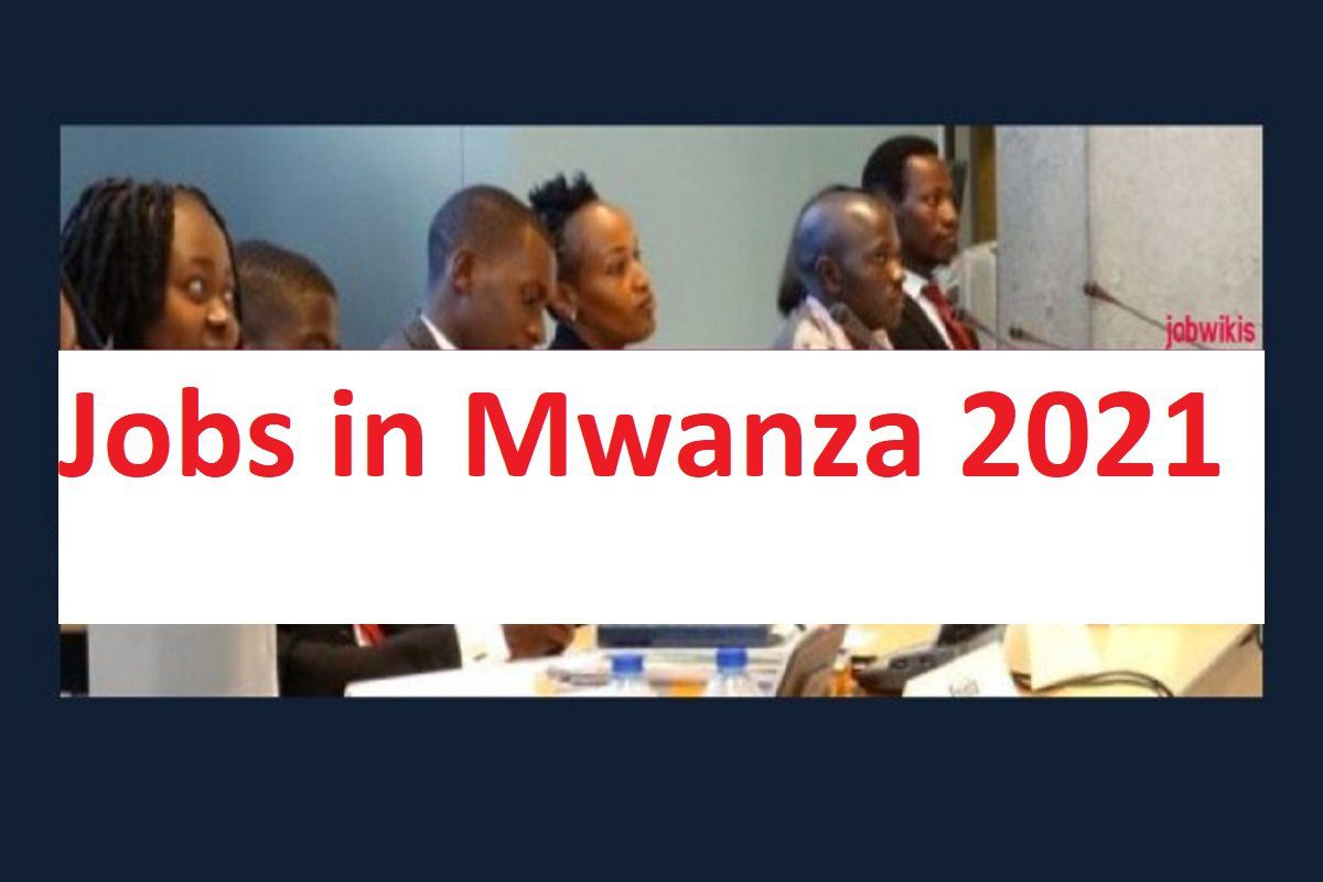 Jobs in Mwanza 2021