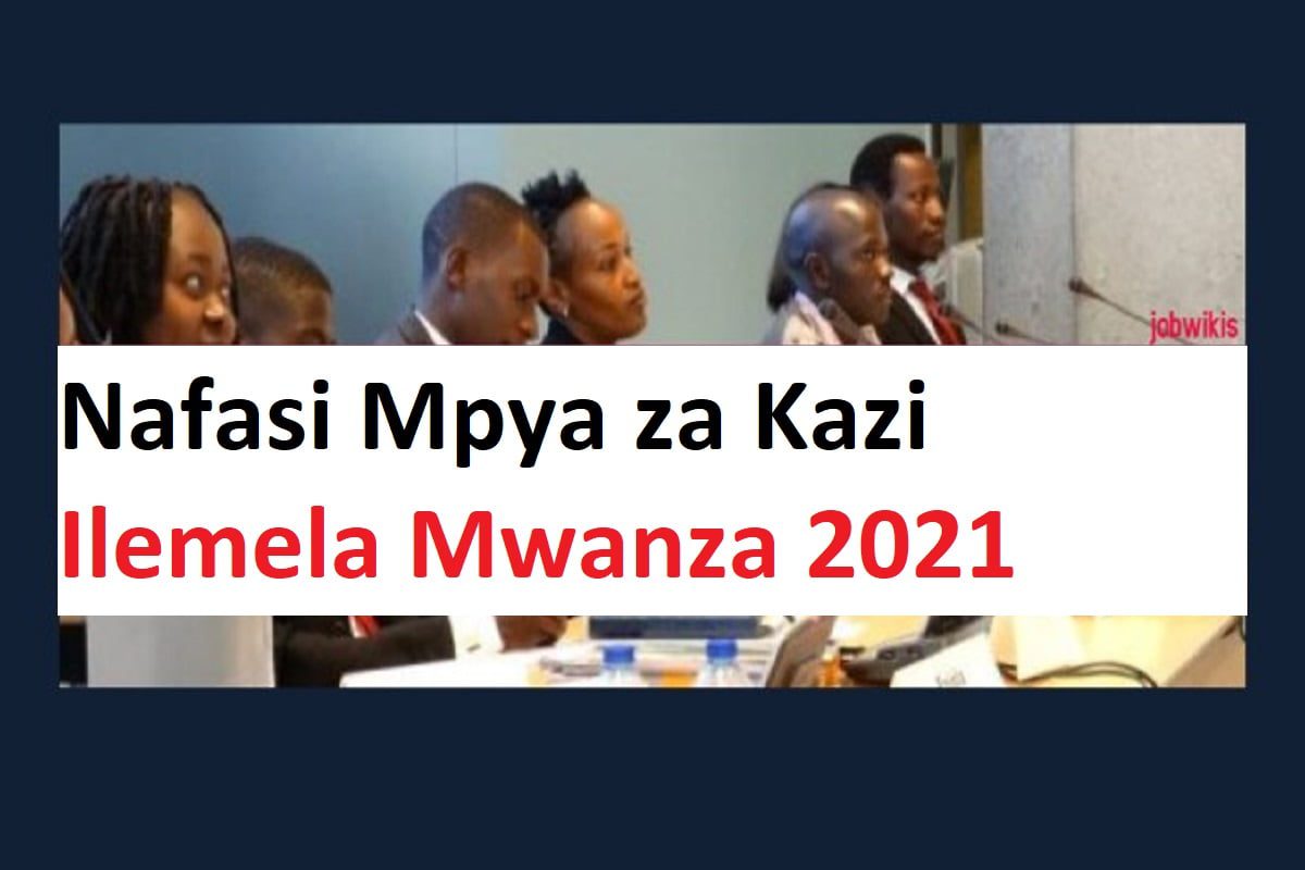 nafasi za kazi ilemela 2021,jobs in Ilemela Mwanza 2021, walioitwa kwenye usaili ilemela 2021, Nafasi za Kazi Mkoa wa Mwanza 2021,Jobs in Mwanza Tanzania