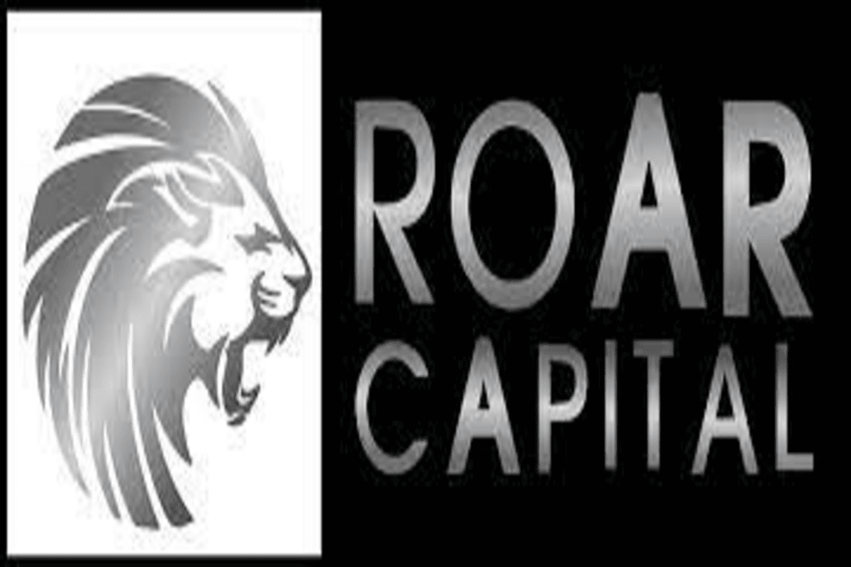 Job Vacancies at ROAR Capital 2021, Nafasi za kazi ROAR Capital, ROAR Capital Jobs in Tanzania 2021, ROAR Capital Tanzania Jobs