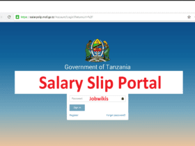 Salary slip portal 2022 , Watumishi portal salary slip download tanzania download,view salary slip download, madaraja na viwango vya mishahara
