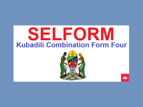 selform tamisemi,selform 2023,Selform Form Four 2023,prems necta,selform pdf,selform forgot password,
