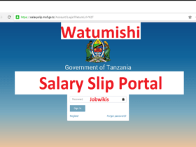 salary slip portal 2022 Tanzania download,view salary slip download, madaraja na viwango vya mishahara, watumishi portal salary slip 2022 download,