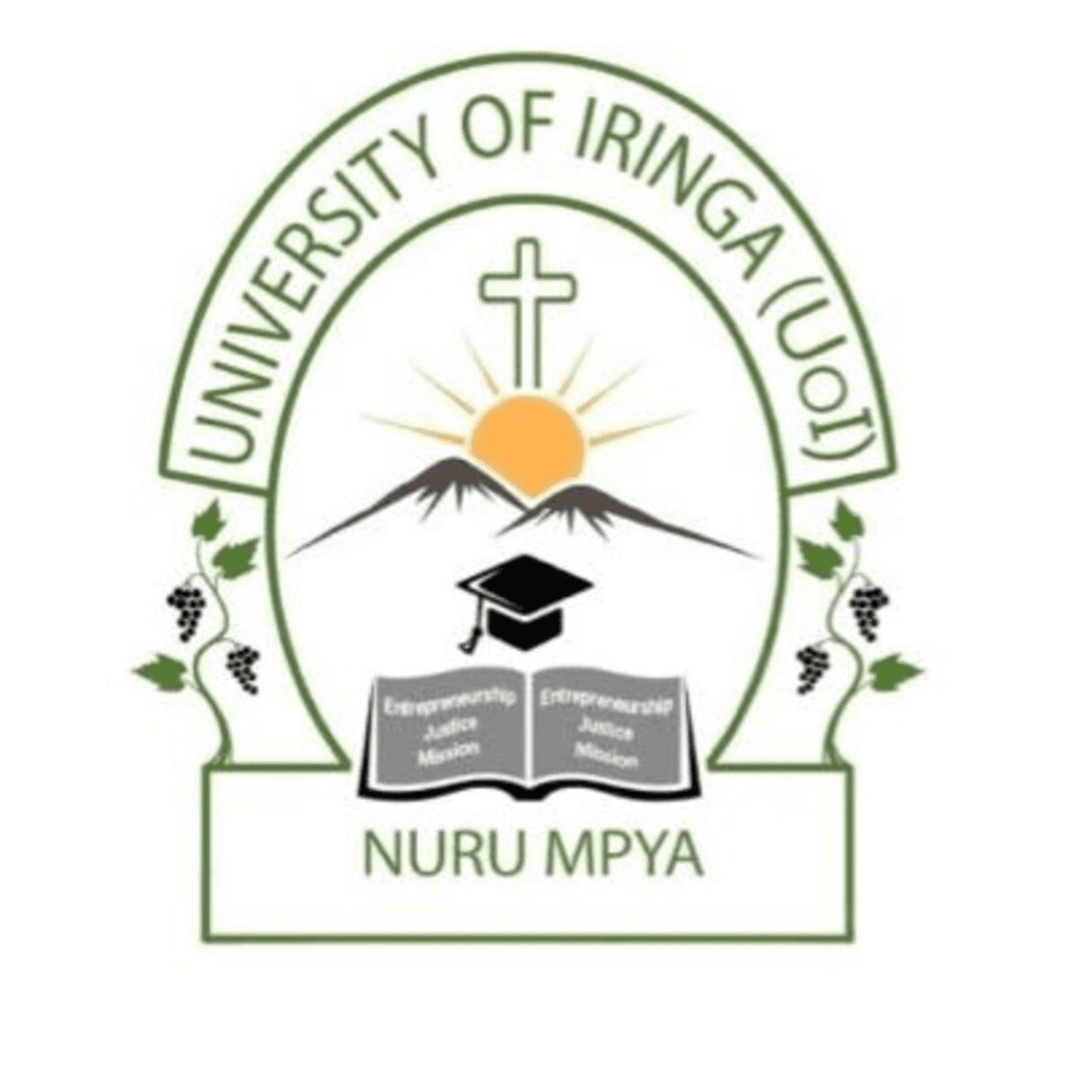 23 Job Vacancies at University of Iringa 2022, University of Iringa Vacancies, University of Iringa Jobs, Nafasi za kazi University of Iringa