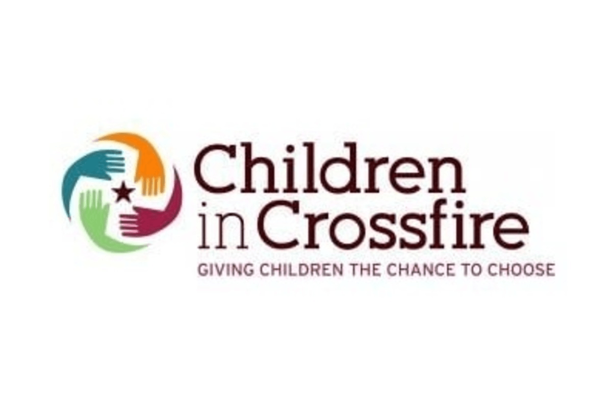 Latest Job Opportunity at Children in Crossfire 2022 | CONSULTANCY, Children in Crossfire Tanzania Vacancies, Children in Crossfire Jobs, Nafasi za kazi Children in Crossfire Tanzania, Children in Crossfire Tanzania Carrier