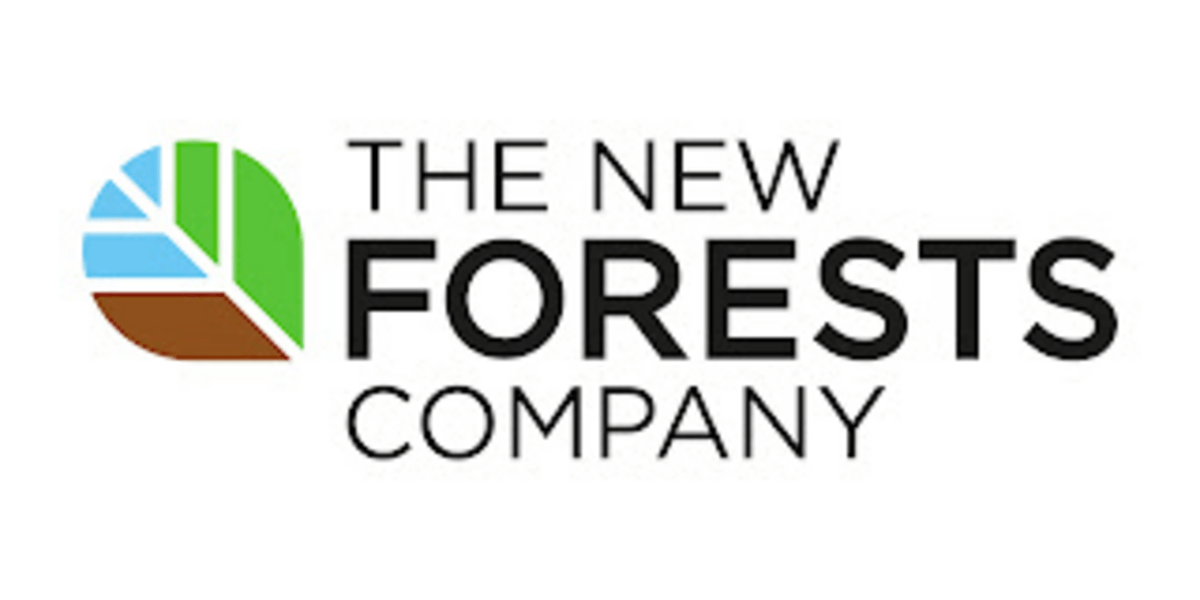 Job Opportunity at New Forests Company 2022, new forests careers, new forests africa, new forests' board of directors, new forest company tanzania, forestry companies in tanzania
