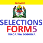 Form five selection 2022 Dodoma Region, majina ya selection form five 2021/2022 Mkoa wa Dodoma,post za form four 2021/2022 vyuo na tanzania,post za kidato cha tano 2021/2022