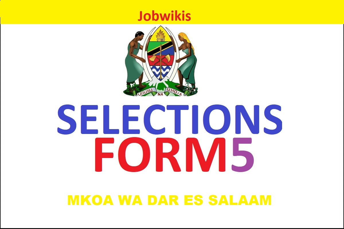 Form Five Selection 2022 Dar Es salaam, Selection Form five Mkoa wa Dar es salaam, selection form five 2021 to 2022, form five selection 2022 to 2023, tamisemi selection 2022, www.tamisemi.go.tz form five selection 2022