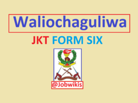 wanafunzi waliochaguliwa jkt 2023, www jkt go tz 2023 kujitolea,www jkt go tz 2023/2024,jkt selection 2023 pdf download,www jkt go tz 2023 mahitaji