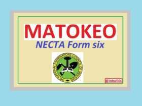 Matokeo ya form six 2023/24, Matokeo necta form six,Matokeo ya form six 2023 PDF,www necta go tz 2022 acsee