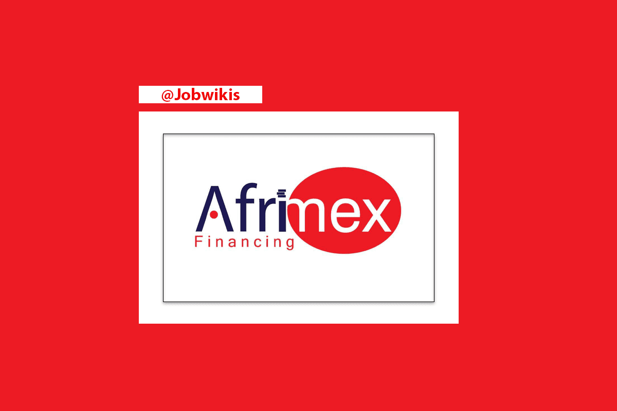 4 Job Opportunities at Afrimex Financing Limited 2022, self microfinance fund salary scale, ajira portal, Afrimex Financing Limited Vacancies, Afrimex Financing Limited Jobs, Ajira Mpya Afrimex Financing Limited, Afrimex Tanzania Jobs 2022