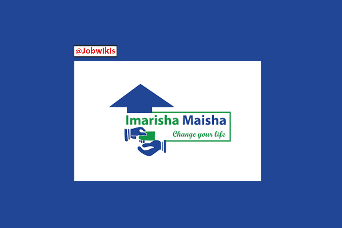 Software Developer Job Vacancy at Imarisha Maisha 2022, software developer jobs in tanzania, Imarisha Maisha Vacancies, Imarisha Maisha Jobs, Nafasi za kazi Imarisha Maisha
