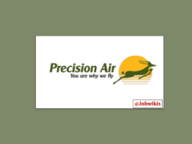 Various Job Vacancies at Precision Air Tanzania 2022, precision air tanzania careers, air tanzania jobs 2022, air ticketing jobs in tanzania, precision air maintenance engineering dar es salaam