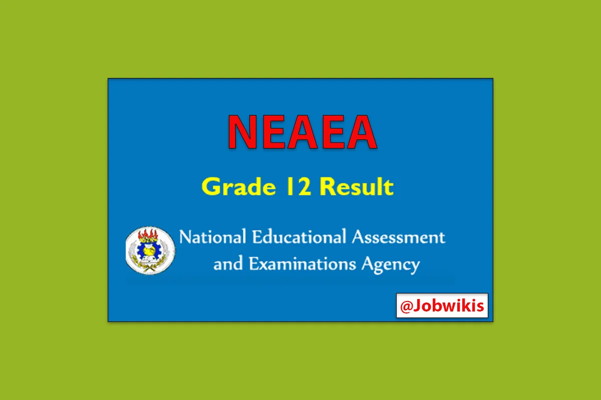 neaea gov et grade 12 result