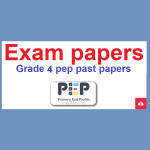 grade 4 ability test workbook answers,,grade 4 pep ability test questions and answers pdf, ,pep performance task grade 4 questions and answers, grade 4 pep past papers,pep questions and answers for grade 4,pep questions for grade 4 mathematics pdf,grade 4 pep ability test questions and answers pdf,pep questions for grade 4 language arts,pep questions for grade 4 social studies,ministry of education pep past papers