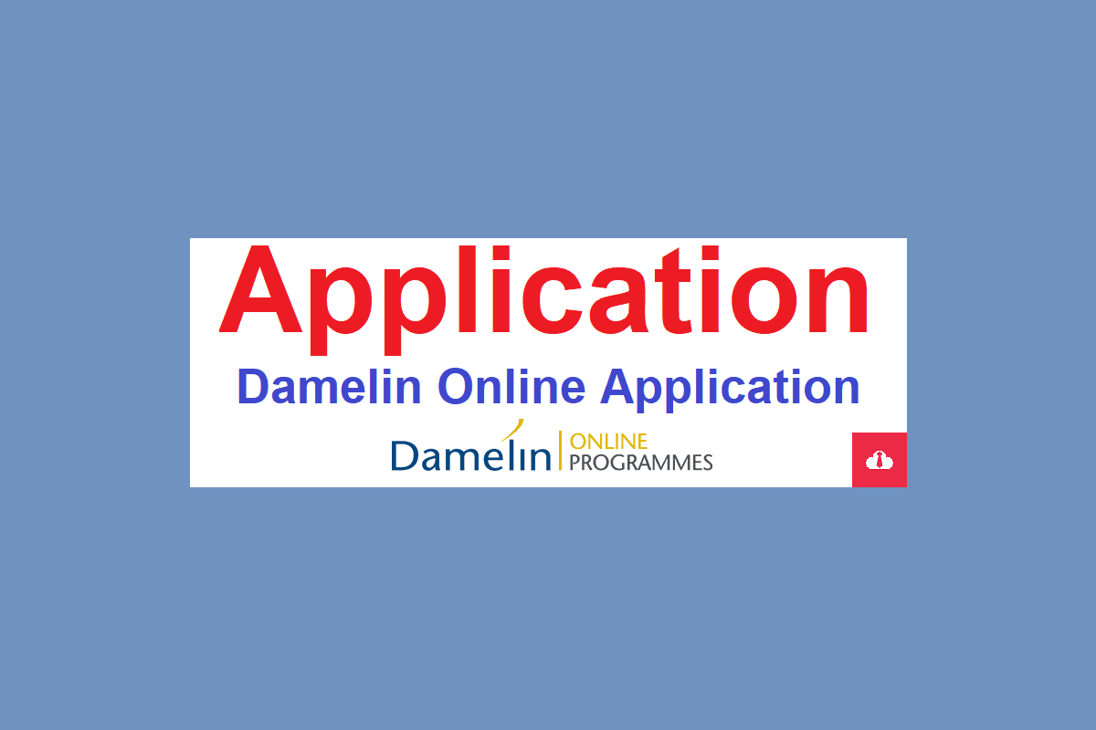 Damelin Online Application Status 2024, www damelin co za Application Status, Damelin Online Application Status Portal, My Damelin application portal