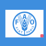 FAO Job Vacancy May 2023, Nafasi za kazi FAO, FAO Vacancy, fao internship career portal, un agriculture jobs, fao login, fao recruitment process, fao careers login, fao headquarters, fao taleo