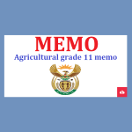 Agricultural sciences grade 11 exam papers and memos Pdf,Agricultural sciences grade 11 exam papers and memos 2020,Agricultural sciences grade 11 exam papers and memos 2019,Agricultural sciences grade 11 exam papers and memos term,agricultural science past papers pdf,agricultural science past papers and answers,agricultural sciences grade 11 previous question papers pdf term 2,agriculture past exam papers,agricultural science grade 12