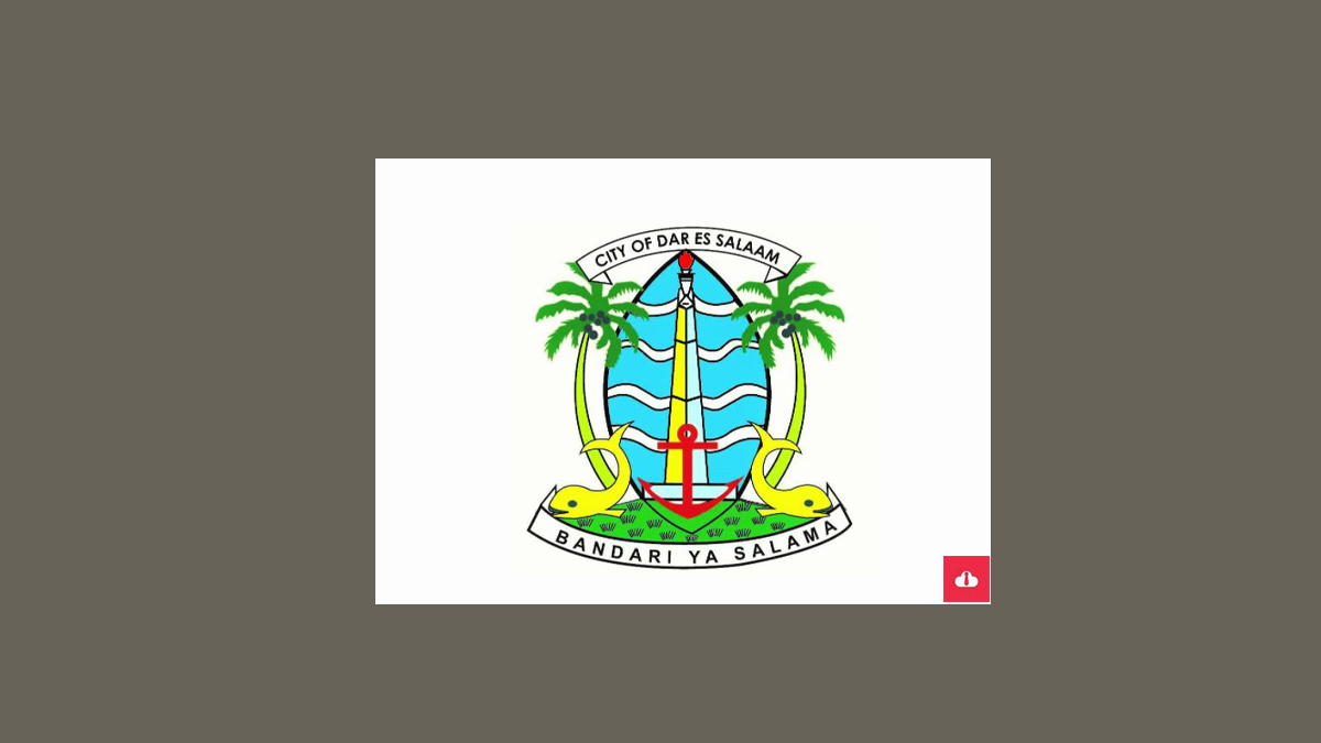 Dar es Salaam City Council Vacancies, July 2023 , Nafasi za kazi Dar es Salaam City Council, Dar es Salaam City Council Jobs, Nafasi za kazi Halmashauri ya jiji la Dar es salaam