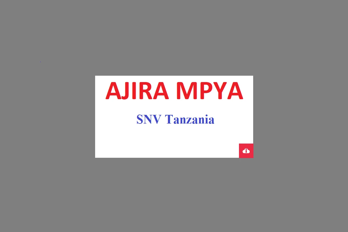 Project Manager at Job Vacancies at SNV Tanzania 2023