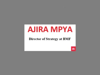 Director of Strategy and Performance Management Jobs at BMF 2024