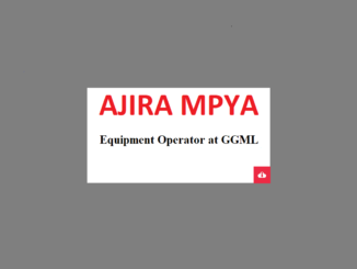 Equipment Operator Jobs at Geita Gold Mining 2024
