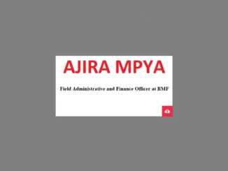 Field Administrative and Finance Officer Job Vacancies at BMF 2024