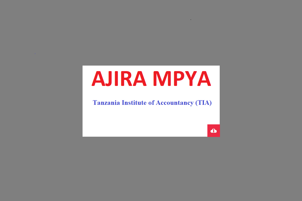 New Jobs at Tanzania Institute of Accountancy (TIA) 2024